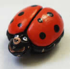 coccinelle rouge
